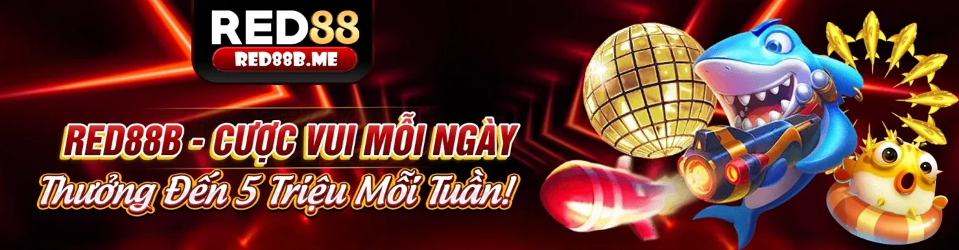 Hình ảnh chính blog 188v code