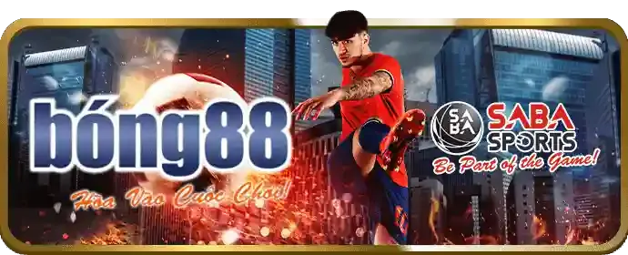 Lợi ích khi chọn 188v code
